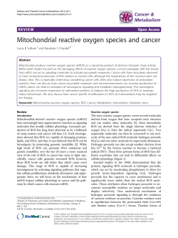 Mitochondrial reactive oxygen species and cancer