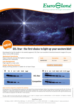 Flyer ECL STAR_mail