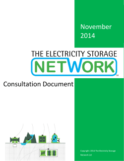 Consultation Document - The Electricity Storage Network
