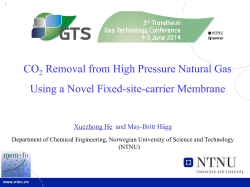 CO 2 removal from high pressure natural gas using a novel