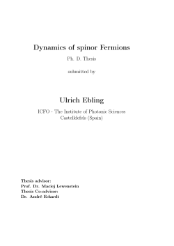 Dynamics of spinor Fermions Ulrich Ebling
