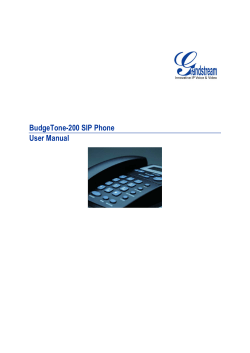 BudgeTone-200 SIP Phone User Manual
