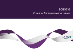 BCBS 239 Practical Implementation Issues