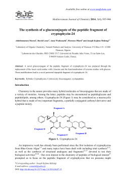 The synthesis of a glucoconjugate of the peptidic fragment of