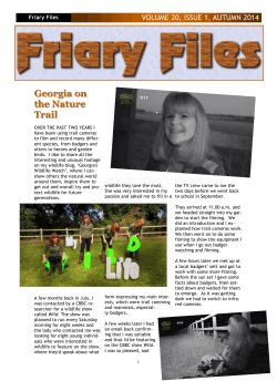Friary Files Autumn 2014