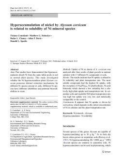 Hyperaccumulation of nickel by Alyssum corsicum