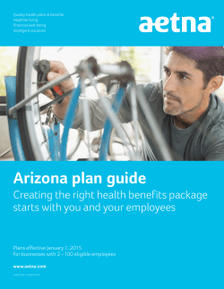 Arizona 2-100 Plan Guide