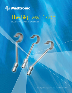 The Big Easy® Piston - 2013 Annual Report