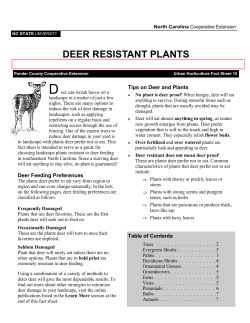 Deer Resistant Plants - Carteret County Center