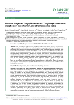 Notes on the genus Tunga \(Siphonaptera: Tungidae\) II