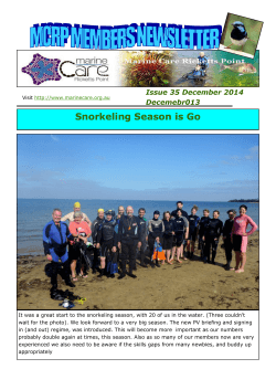 Snorkeling Season is Go - Marine Care Ricketts Point