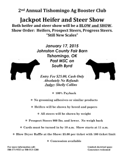 Jackpot Heifer and Steer Show