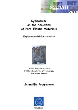 Scientific Programme - SAPEM 2014