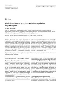 Review Global analysis of gene transcription