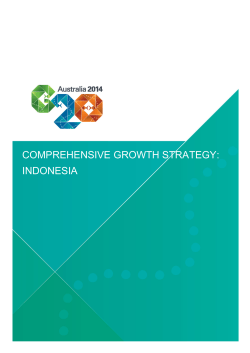 Comprehensive Growth Strategy - Indonesia