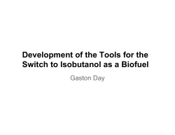 Development of the Tools for the Switch to Isobutanol as a