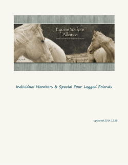 Individual Members - Equine Welfare Alliance