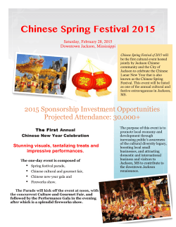 Chinese Spring Festival 2015 - msca