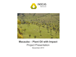 INOCAS Brazil Macauba Project