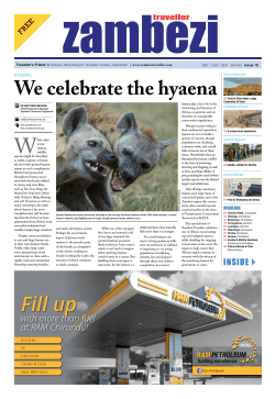 We celebrate the hyaena Fill up