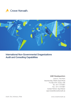 International Non-Governmental Oraganizations Audit and
