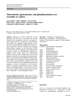 Thioredoxins, glutaredoxins, and glutathionylation
