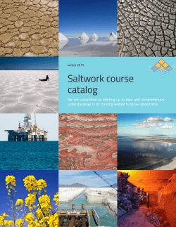 Saltwork course catalog