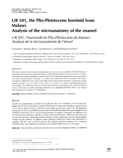 UR 501, the Plio-Pleistocene hominid from Malawi