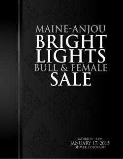 Maine Anjou's Bright Lights Bull & Female Sale!