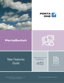 PortaSwitch: New Features Guide MR 45
