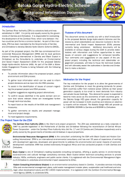 Batoka Gorge Hydro-Electric Scheme Background Information