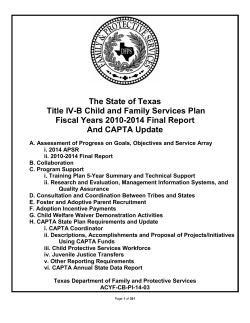Section I:CFSP Final ReportPDF Document