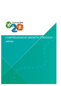 Comprehensive Growth Strategy - Japan