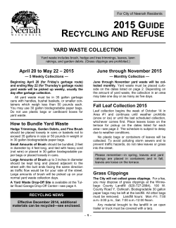 Recycling Guide - City of Neenah