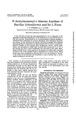 N-Acetylmuramyl-L-Alanine Amidase of Bacillus licheniformis and Its
