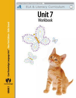 Grade 1: Skills Unit 7 Workbook