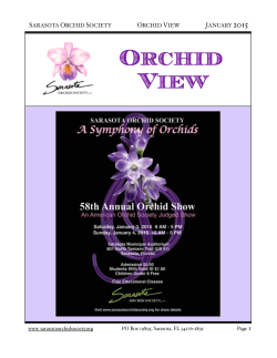 January 2015 Newsletter - Orchid View