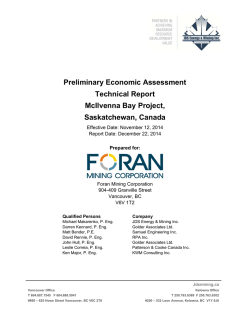 Preliminary Economic Assessment Technical Report McIlvenna Bay