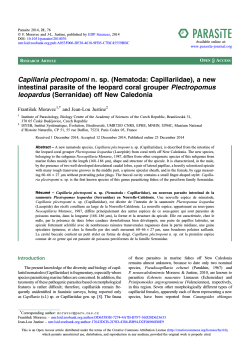 Capillaria plectropomi n. sp. \(Nematoda: Capillariidae\), a