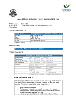 Carrington Road Casuarina Forest Bushcare Site Plan