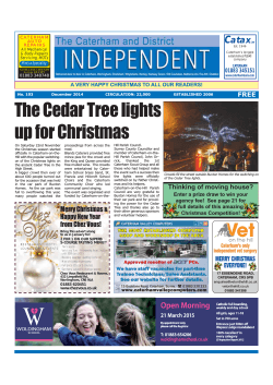The Cedar Tree lights up for Christmas