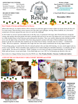Our 2014 Holiday Letter - Persian and Himalayan Cat Rescue