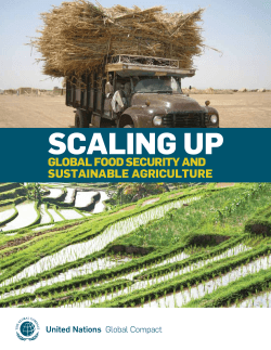 Global Food Security and Sustainable Agriculture