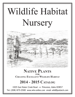 2014 - 2015 CATALOG - Wildlife Habitat Nursery