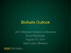 Biofuels Outlook