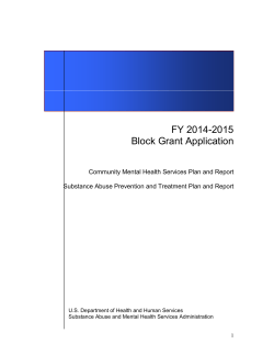 FY 2014-2015 Block Grant Application