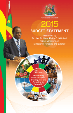 budget statement 2015.indd