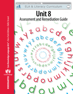 Skills Unit 8 Assessment and Remediation Guide