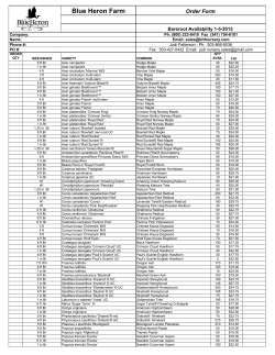 Bare Root – PDF - Blue Heron Nursery