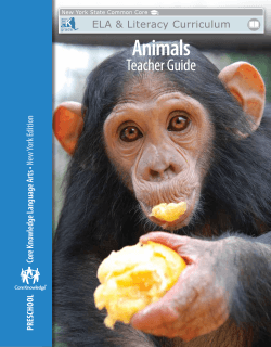 Preschool: Domain 3 Animals Teacher Guide
